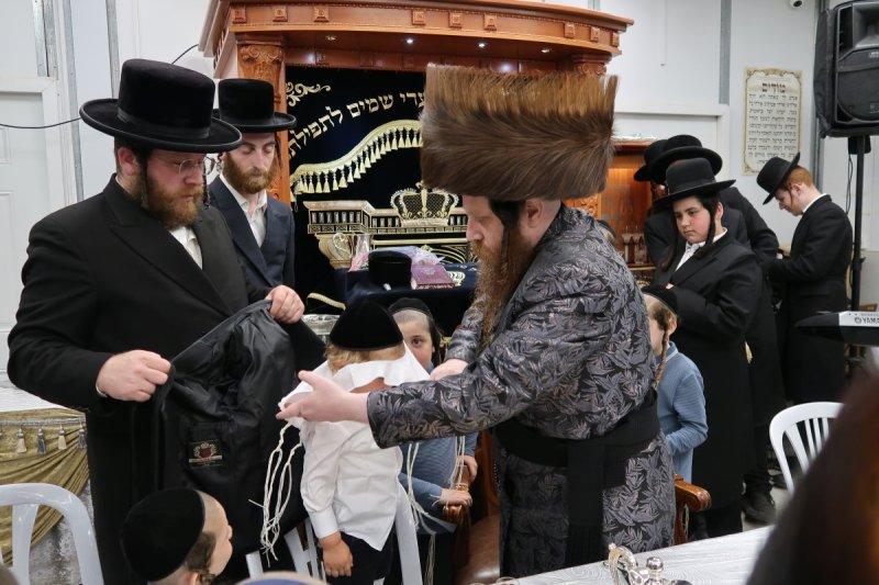 י. פריד