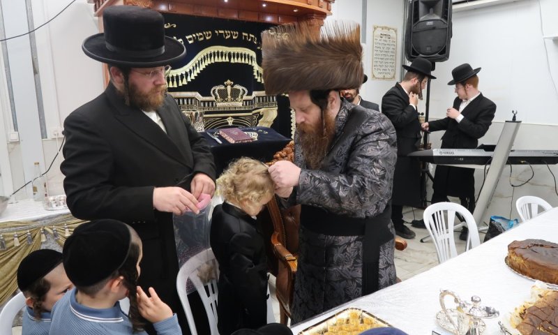מחלפות זהב: שמחת החלאק'ה לבן האדמו"ר ממיאלען בשילוב הילולא