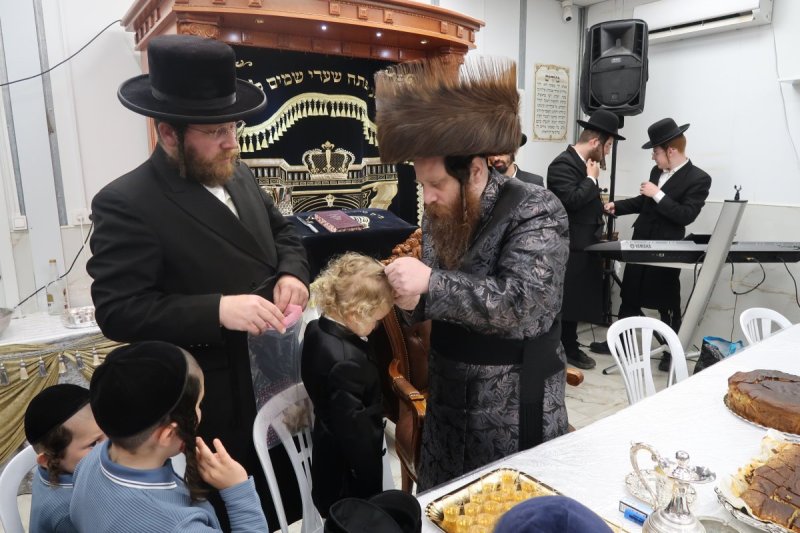 י. פריד