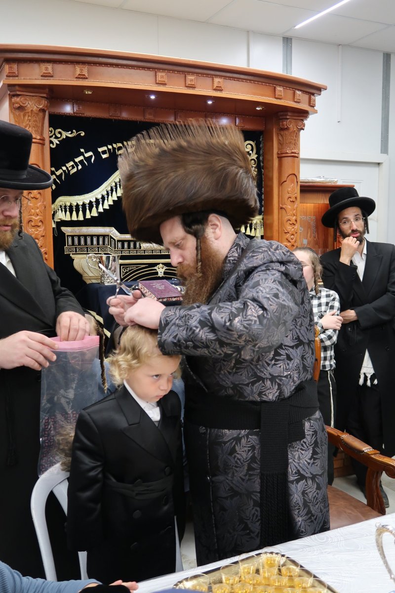 י. פריד