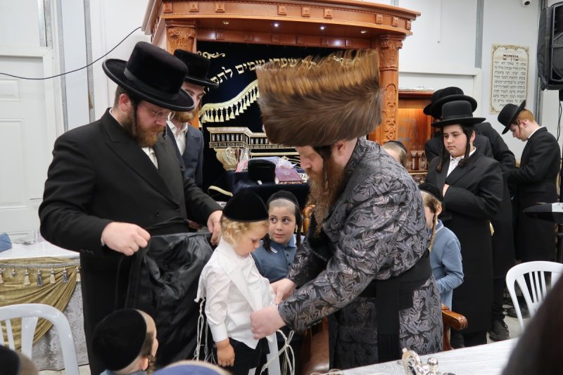 י. פריד