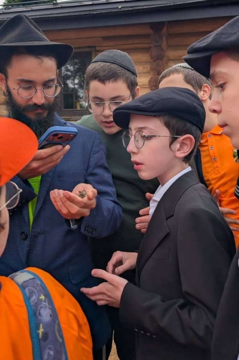 לוי נאזרוב