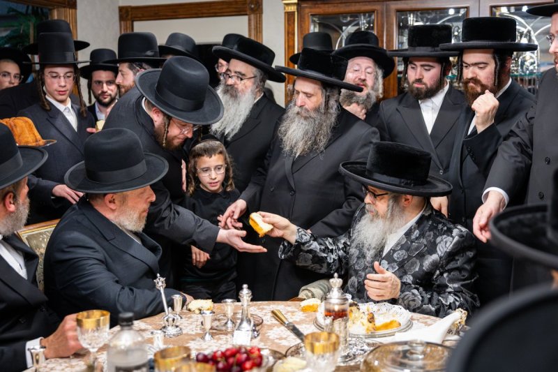 באדיבות המצלם