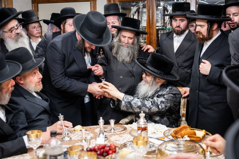 באדיבות המצלם