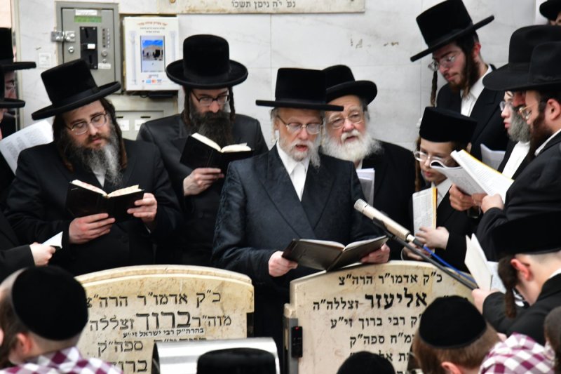 יוסי לוי