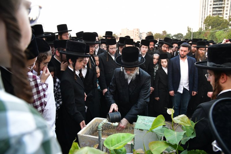 יוסי לוי