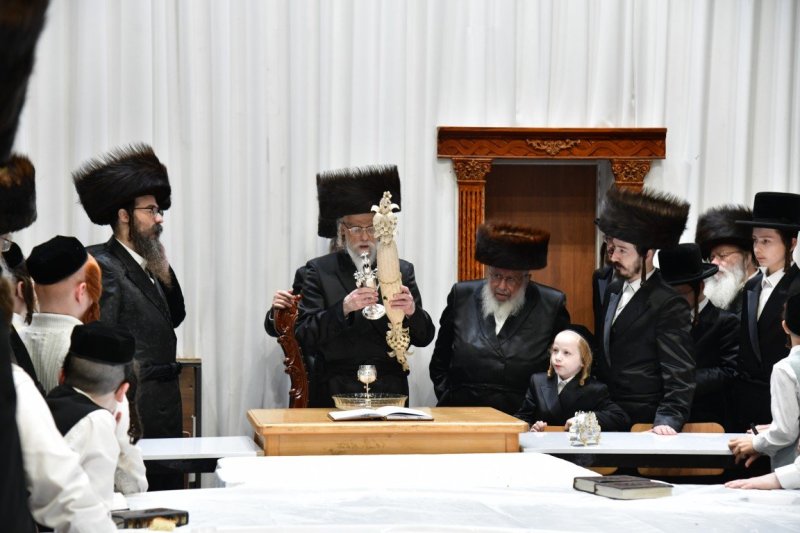 יוסי לוי