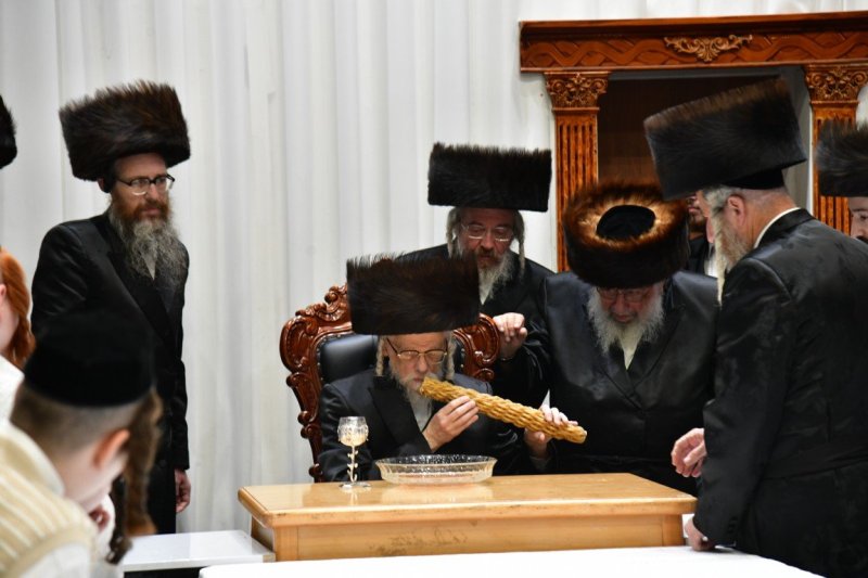 יוסי לוי