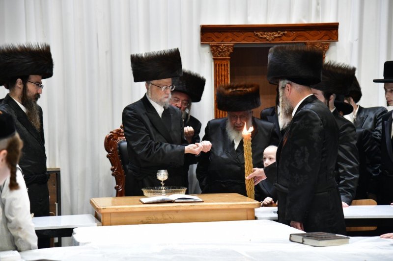 יוסי לוי