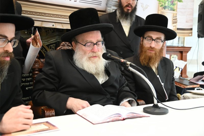 שוקי לרר