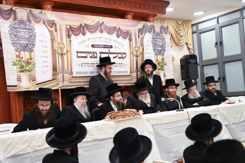 שוקי לרר