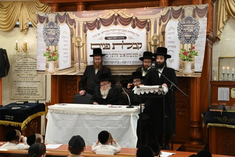 שוקי לרר