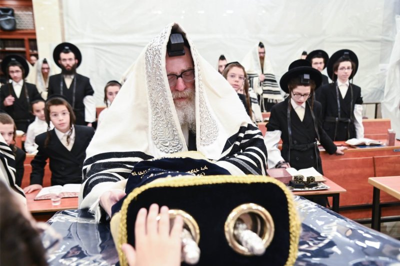 שוקי לרר