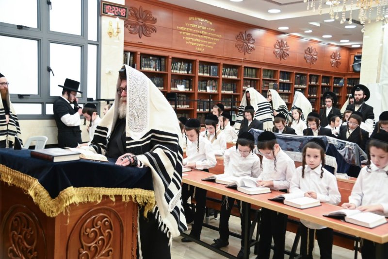 שוקי לרר