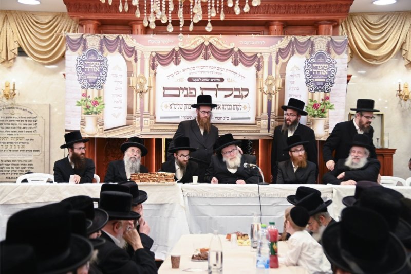 שוקי לרר