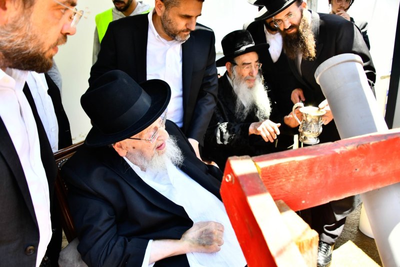 שוקי לרר