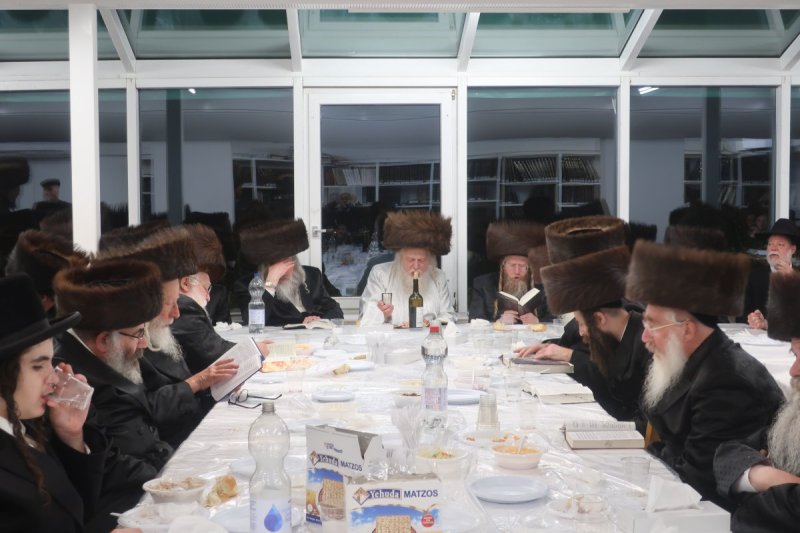 שימי פ. 