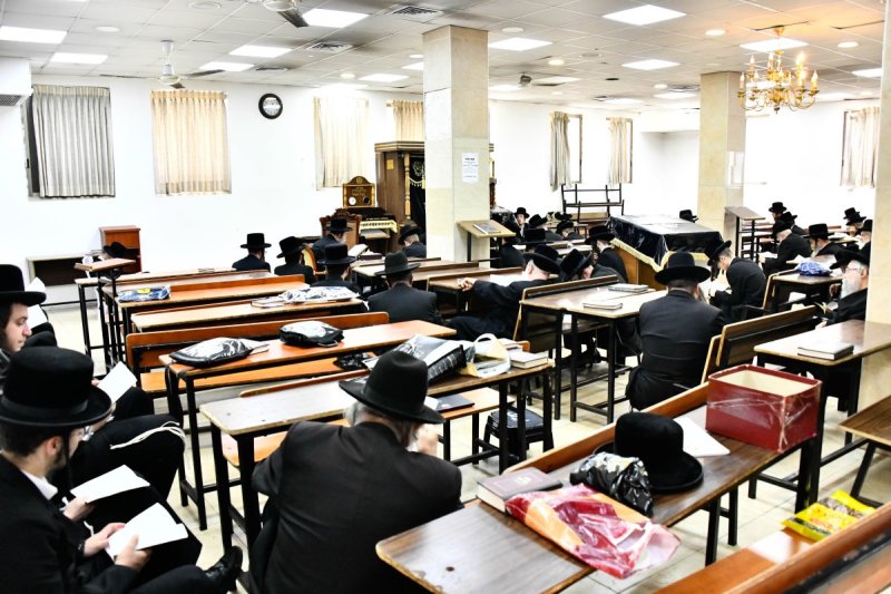 שוקי לרר
