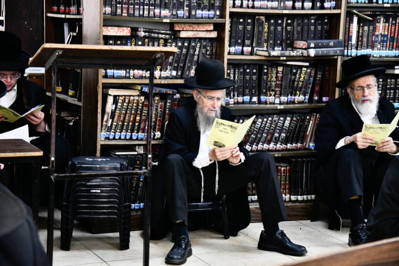 שוקי לרר
