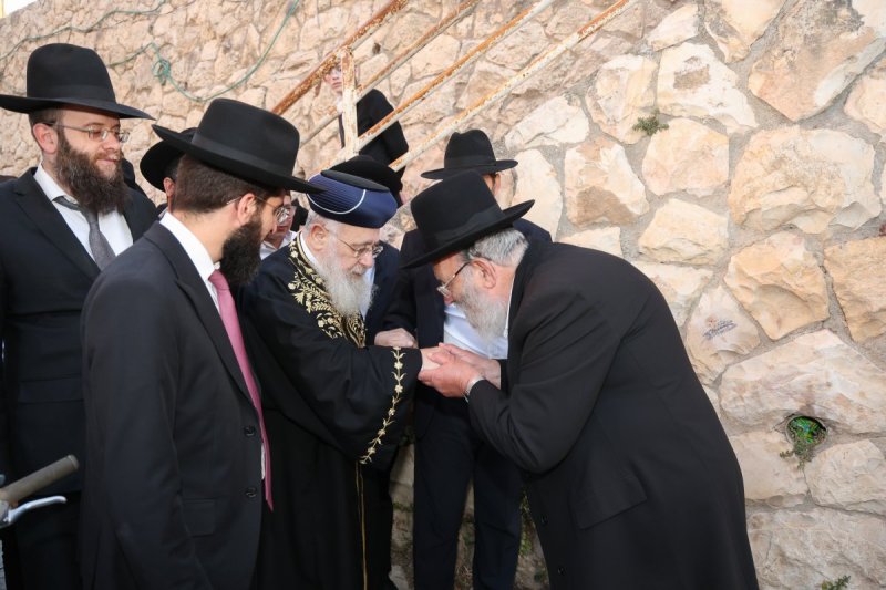 דוד ארזני
