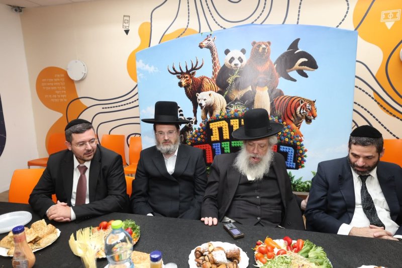 שלומי כהן