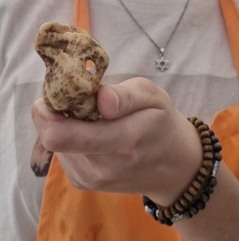 באדיבות המצלם