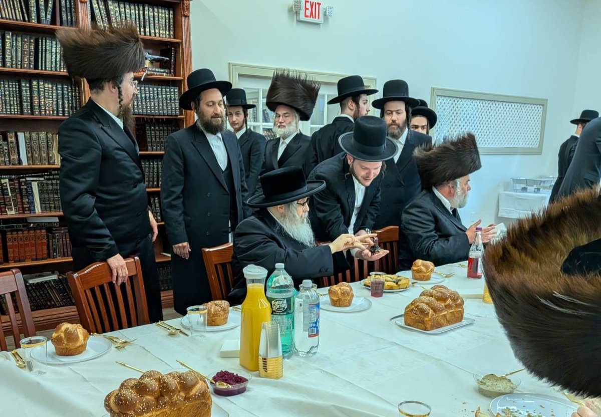 באדיבות המצלם