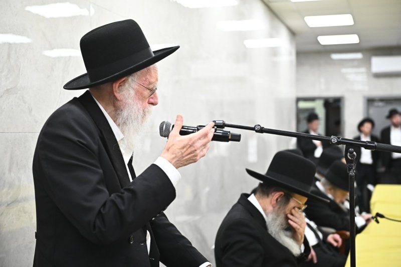 שוקי לרר