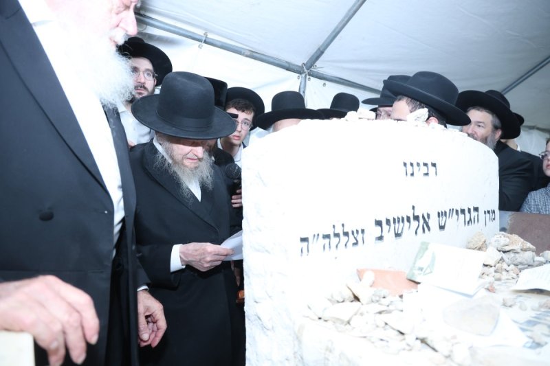 שלומי טריכטר