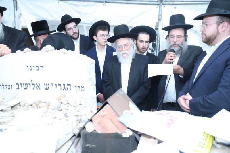 שלומי טריכטר