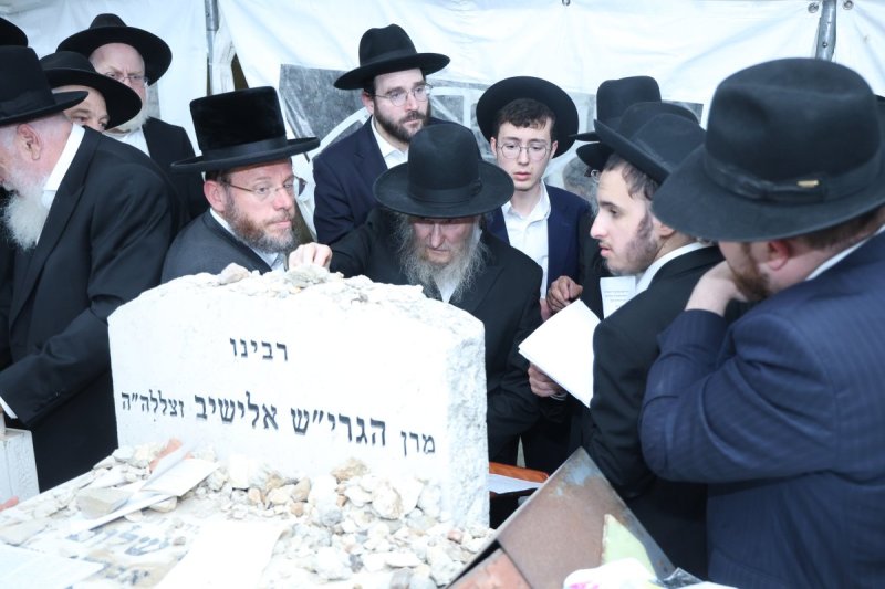 שלומי טריכטר