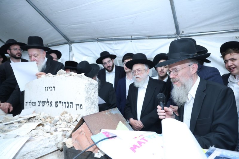 שלומי טריכטר