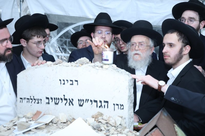 שלומי טריכטר