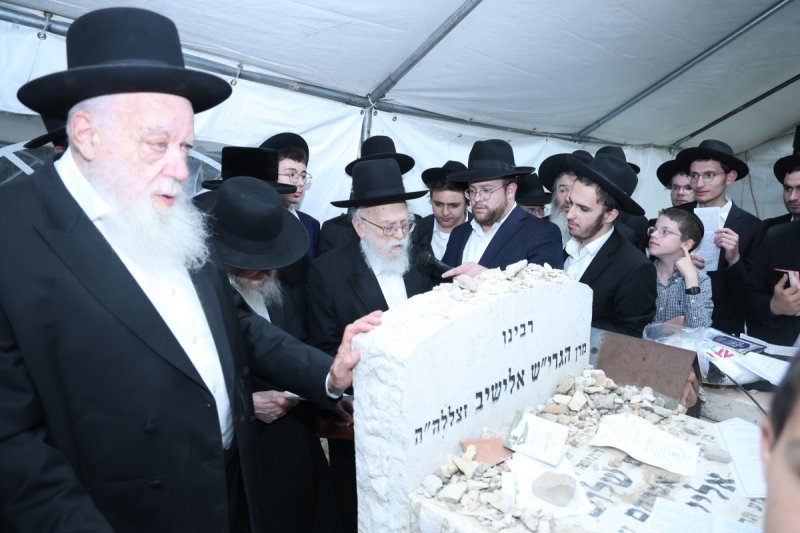 שלומי טריכטר