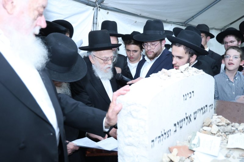שלומי טריכטר