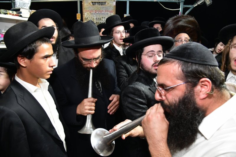 יוסי לוי