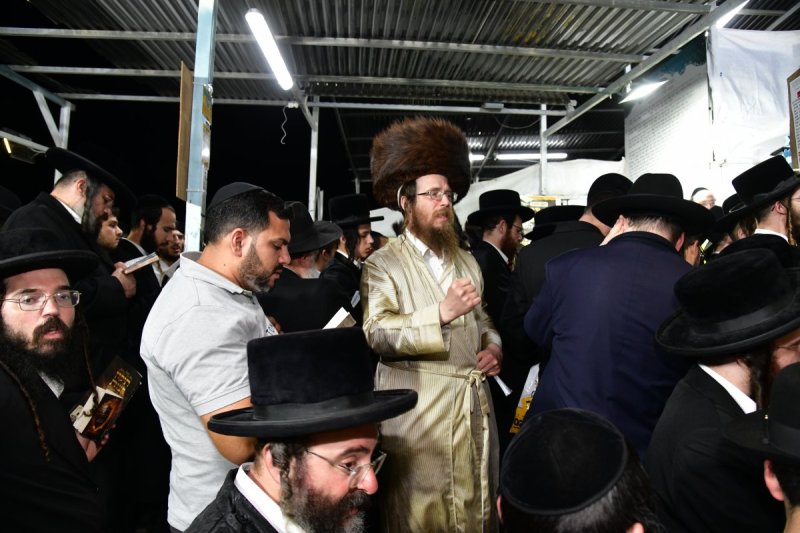 יוסי לוי