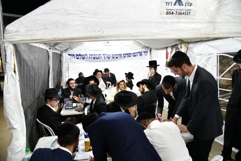 יוסי לוי