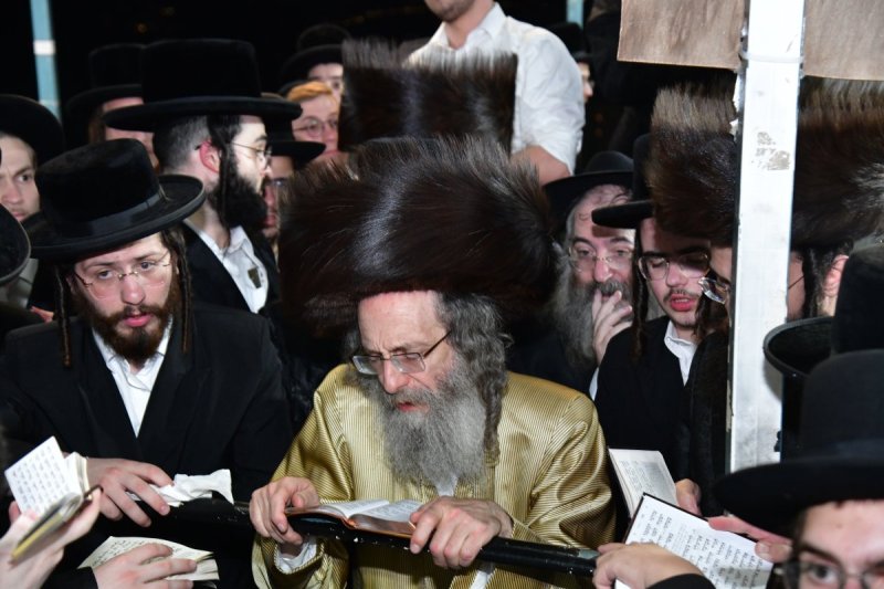 יוסי לוי