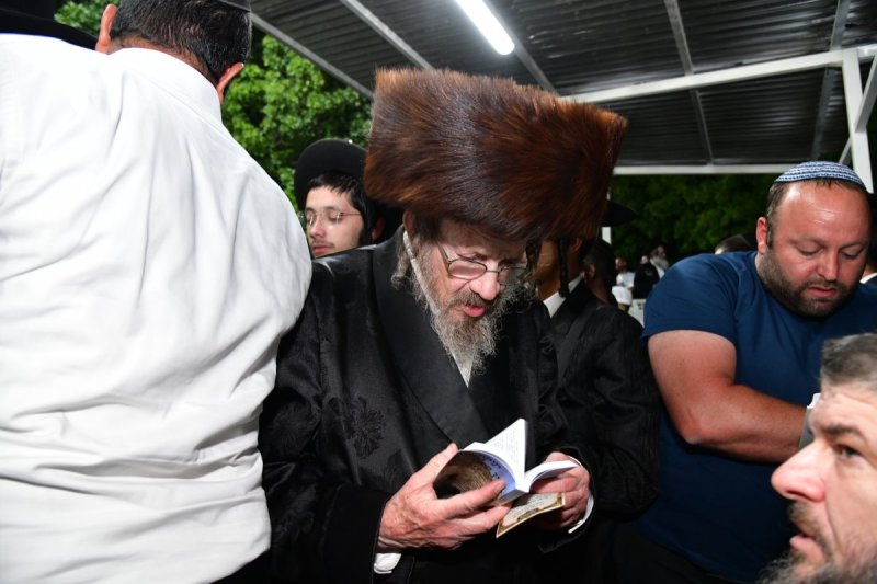 יוסי לוי