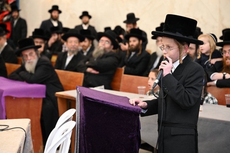 משה גולדשטיין