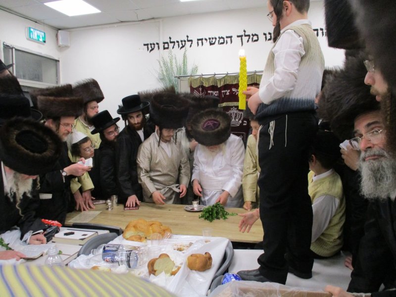 באדיבות המצלם