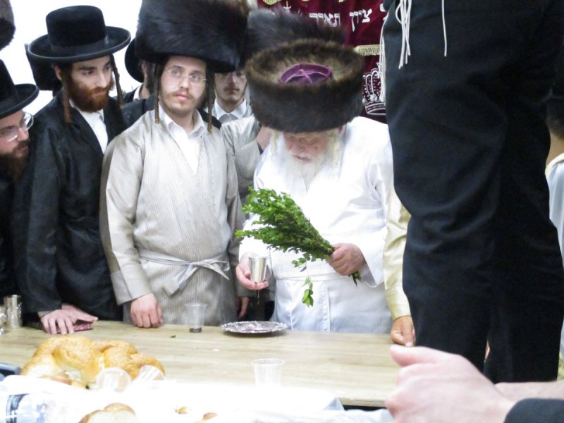 באדיבות המצלם