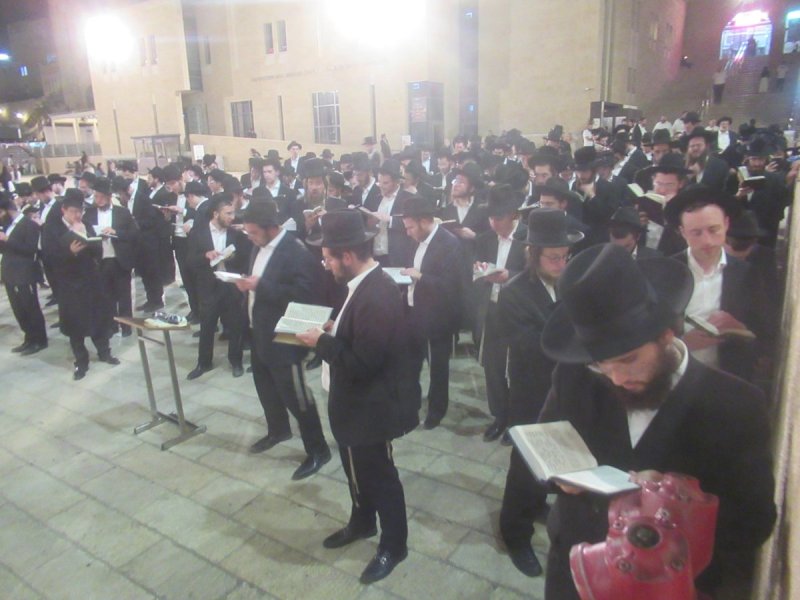 באדיבות המצלם