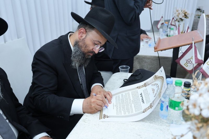 נועם אליהו