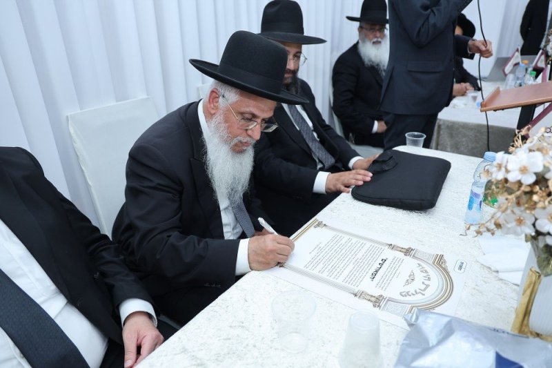 נועם אליהו