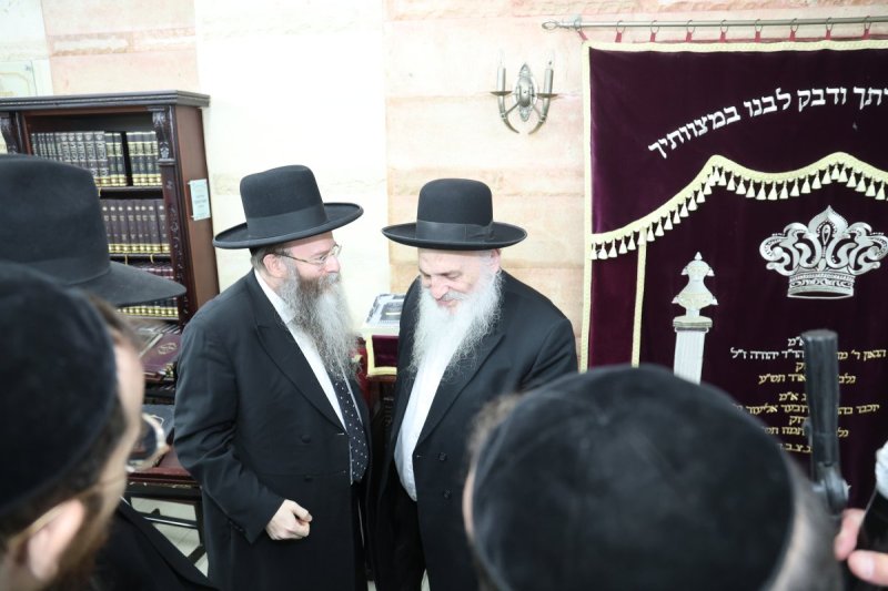 שלומי טריכטר
