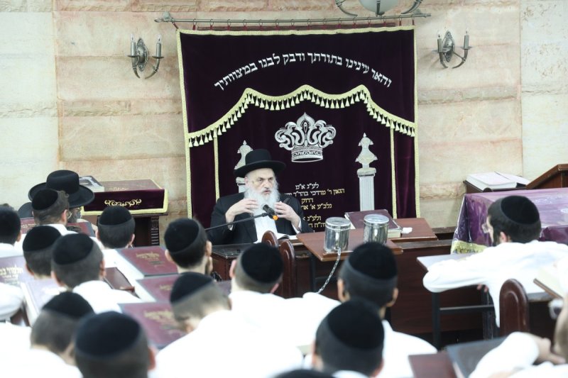 שלומי טריכטר