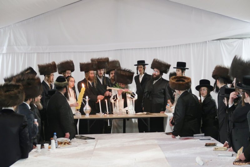 מ.א נוימן