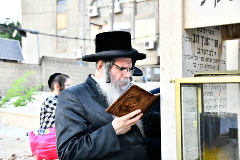 שוקי לרר